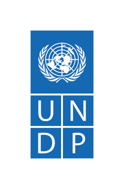 UNDP